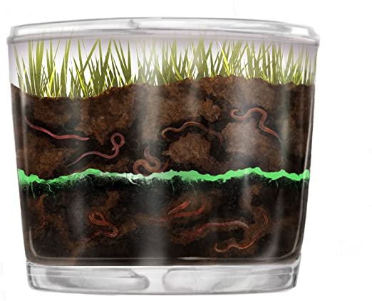  worms – Mr. Eubanks' Kindergarten Class Bildidee 